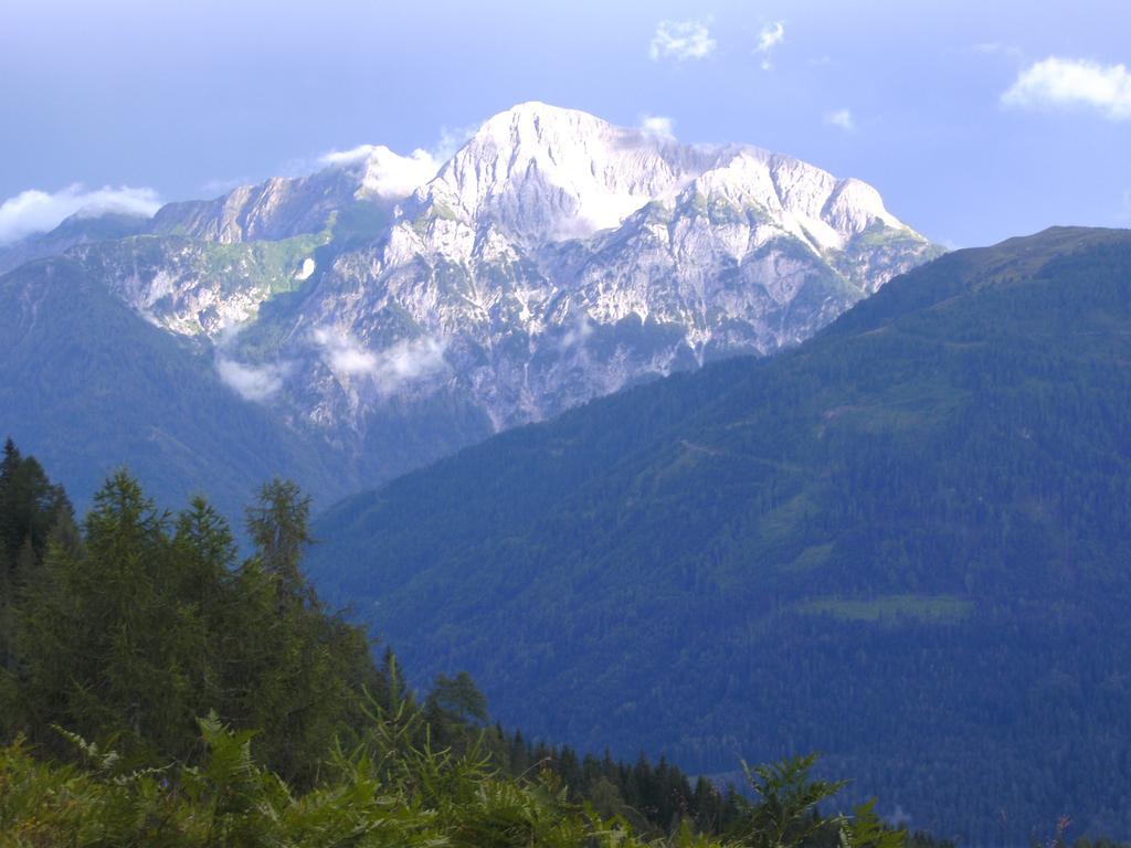 Gasthof Zum Loewen Sankt Jakob im Lesachtal Zewnętrze zdjęcie